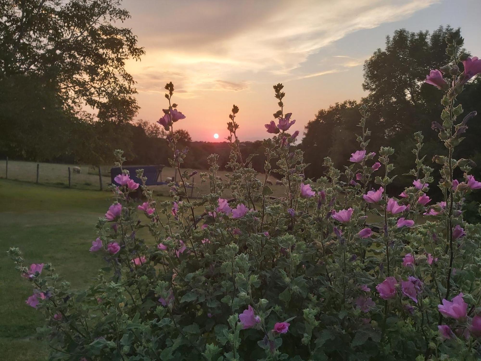 Bouesse Le Petit Pre B&B 외부 사진